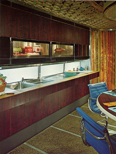 Kitchen of the Future | by landseer312
