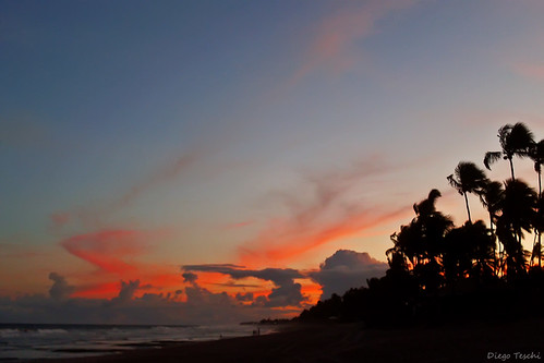 ocean blue sunset red sea orange praia beach colors silhouette azul clouds contraluz cores mar coconut laranja vermelho pôrdosol nuvens horizonte oceano coqueiros villasdoatlântico diegoteschi