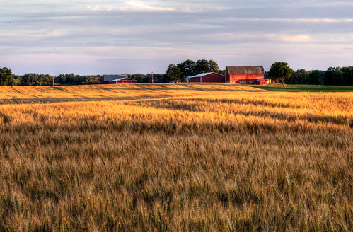 sunset field barn wheat hdr