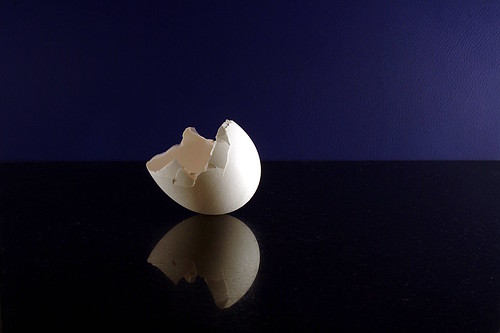eggshell by JonathanCohen