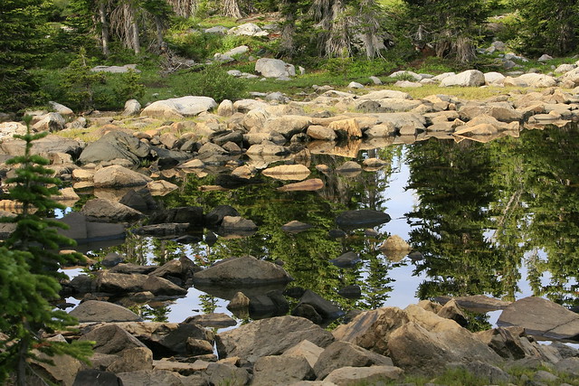 Rocks and Trees Reflection
