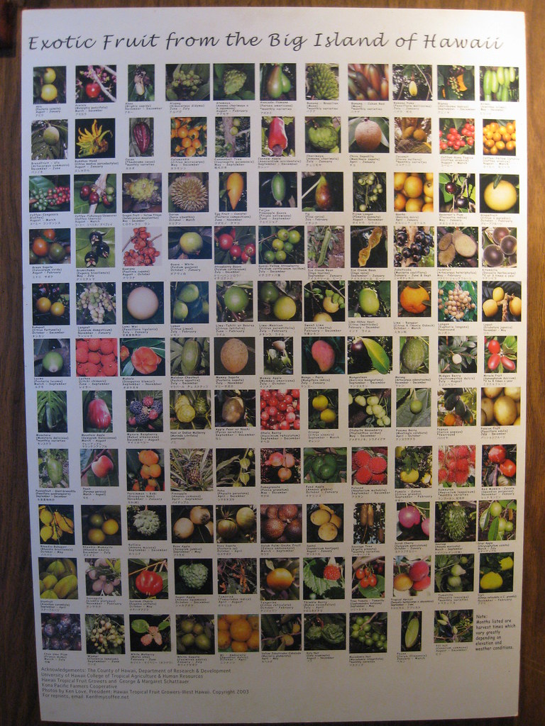 Hawaiian Exotic Fruit Chart | This fruit chart was on the wa ...