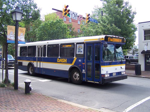 Alexandria Dash bus