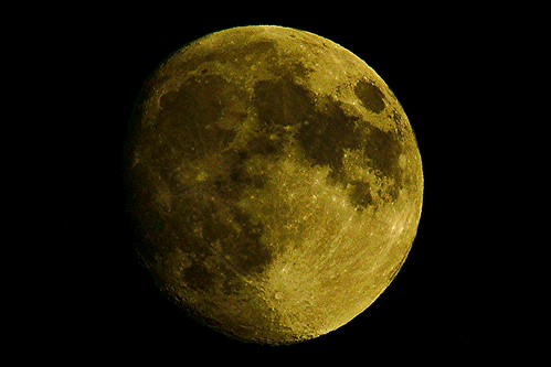 September Moon -- DSC02299 | by Lance & Cromwell