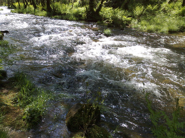 rio Oitavén en Sotomayor por TereslaLoba