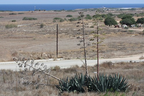Kings Beach