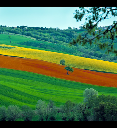 Landscape: Lines of Colors, green, orange and yellow. by .Gianluca
