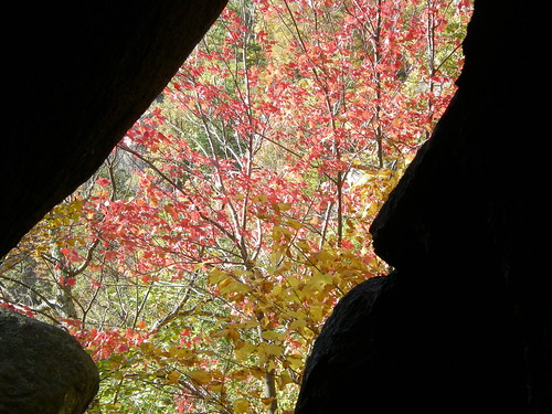autumn mountain fall leaves virginia leaf hiking climbing va dcist oldrag