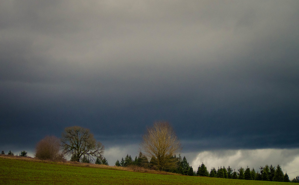 _3090096.jpg | Olympus digital camera | Thomas Dekany | Flickr