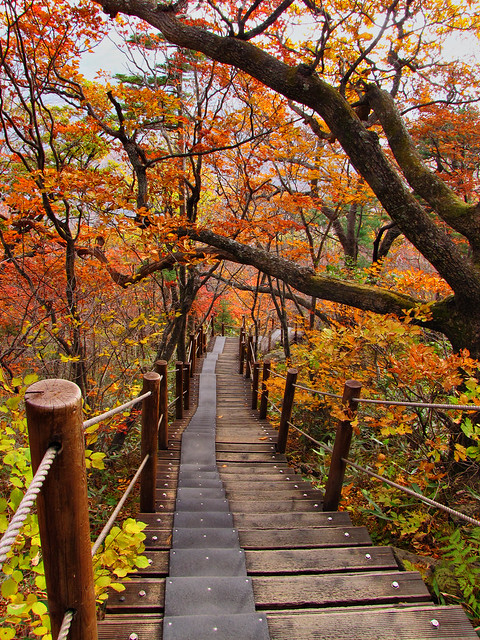 Fall Colors-Baemsagol Valley-Jirisan National Park-South Korea