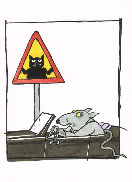 Cat Road Sign Illustration Postcard
