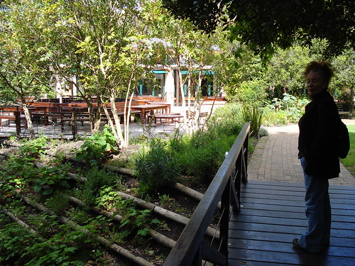 Kirstenbosch National Botanical Garden