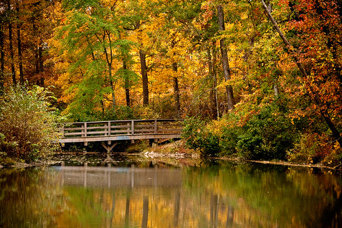 bridge autumn lake fall virginia richmond glenallen henrico