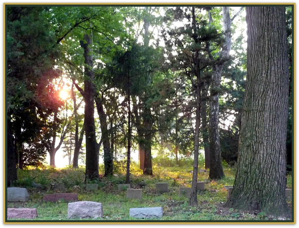 Sunrise in a deserted woodland cemetery