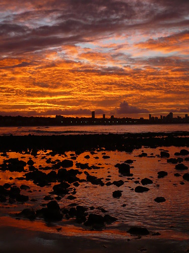 Na beira do mar / On the edge of the sea by Mateus Massa, BEIRA - MAR, de Zé Ramalho

Eu entendo a noite como um oceano
Que banha de sombras o mundo de sol
A 