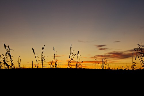 sunset evening texas tx midland efs1855mmf3556is
