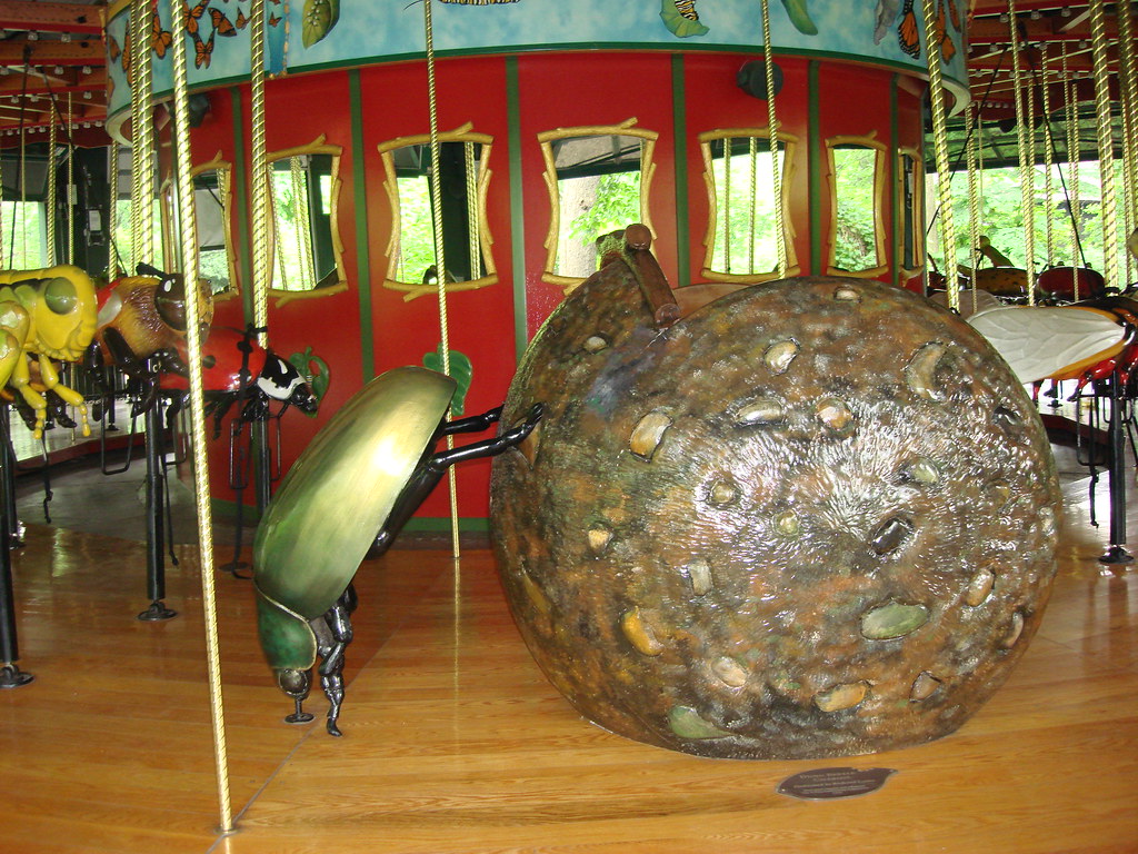 Dung beetle on the Bug Carousel