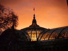 Coupole du Grand Palais - Paris