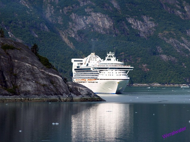 Golden Princess in Tracy Arm