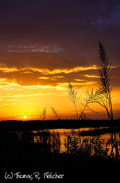 Sunset, Colleton County, South Carolina