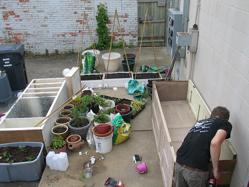 container garden to be | by katiedL.