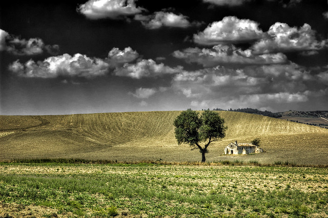 Matera countryside