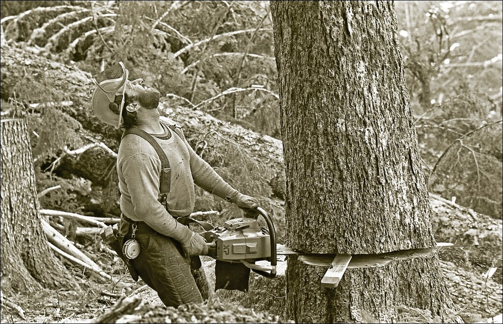 B.C. Logging | Flickr
