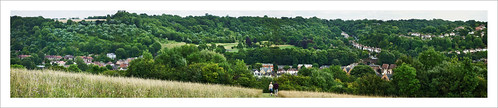 Kenely Common Panorama 4-01sm