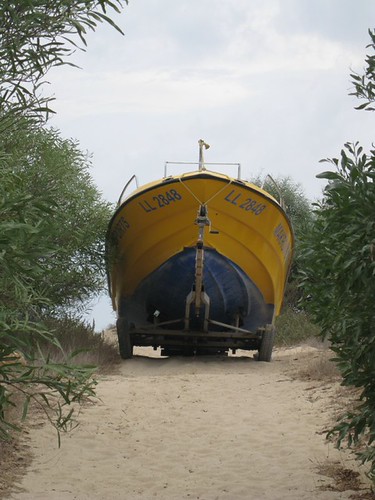 Kings Beach