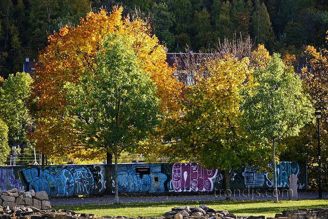 Urban Autumn - Oslo, Norway