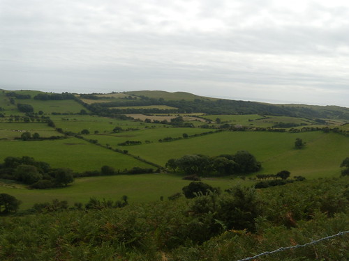 View from the ridge Corfe Castle to Lulworth Cove (Dorset)