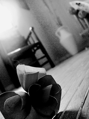 Void | by miramonster
