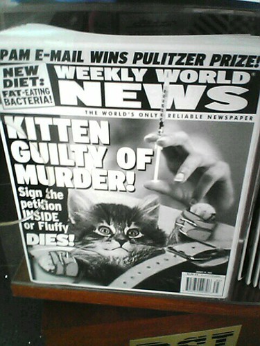 KITTEN GUILTY... OF MURDER! | Ernie Hsiung | Flickr