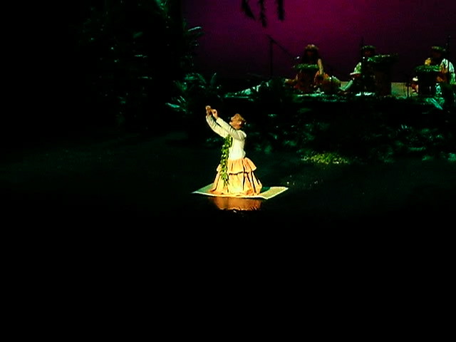 Maui Hula Performance