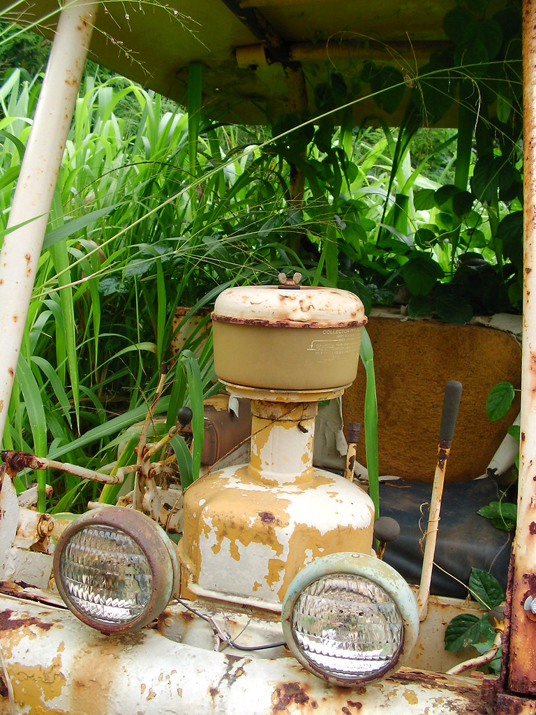 Overgrown Tractor