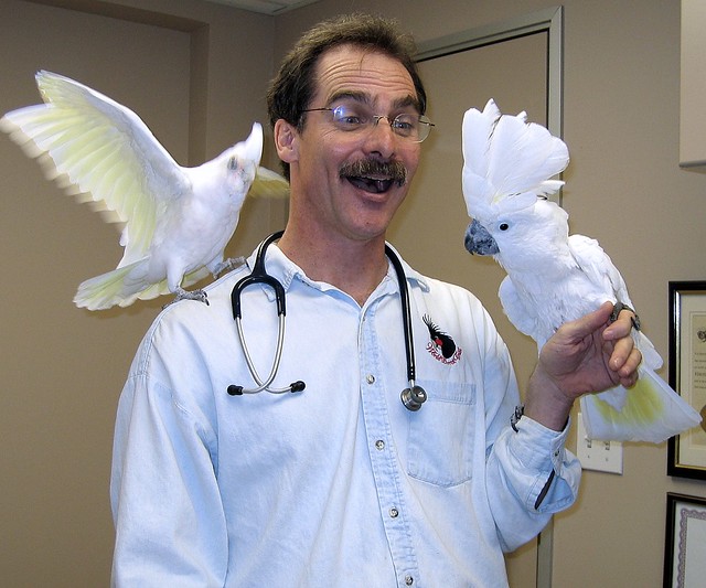Dr. Speer Telling Cockatoo Jokes