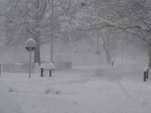 White out | Pelham Bay Park at the height of the blizzard on… | Flickr