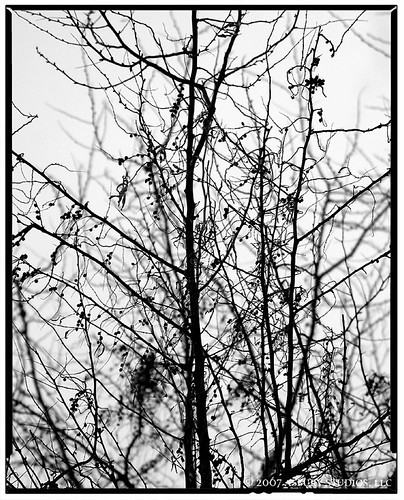 deep_dark_days | by Dustin J. Williston