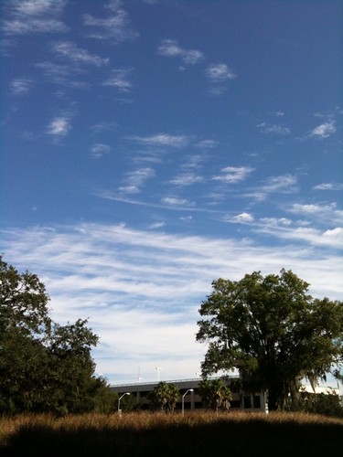 Blue Sky Behind the Phyllis P. Marshall Center 01