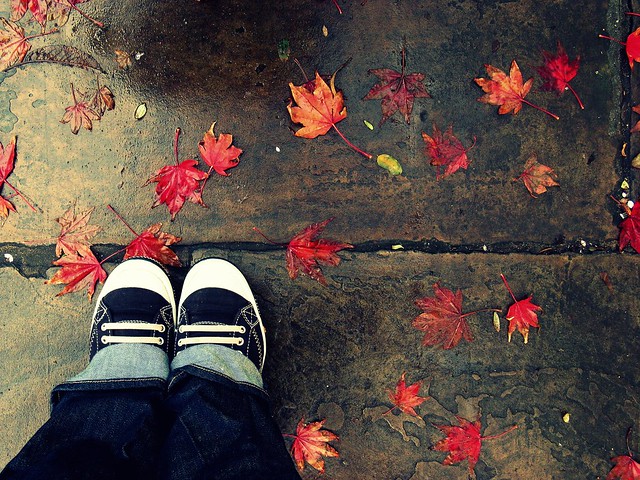*este.otoño.rojo.