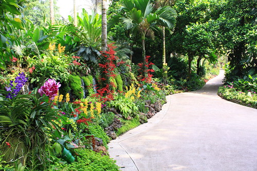 Sin Orchid garden | nha tran | Flickr
