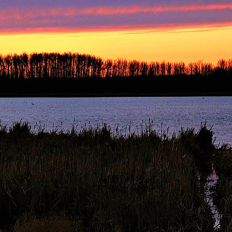 sunset lake nature landscape spring stpaul alberta dwcffsquare