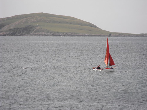 First Sighting | by Alasdair, Campbell