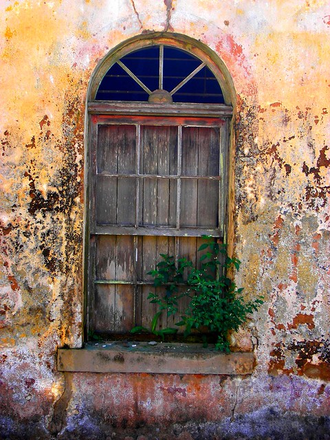 Old Soul Window