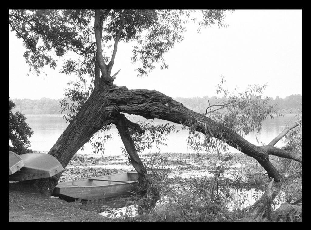 1974 - Podzim u Munického rybníka