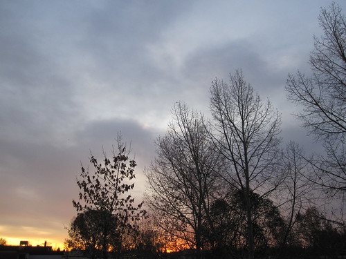 morning trees sky orange sun fall sunrise grey warm day purple