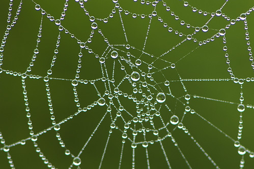 Web_and_Droplets | by KurtFML