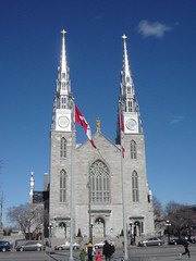 The Cathedral Basilica of Notre-Dame