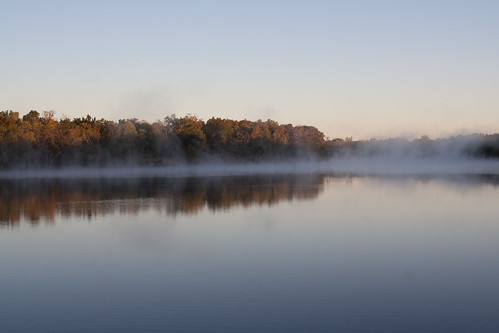 trees lake water fog sunrise landscape photography arcosphotography
