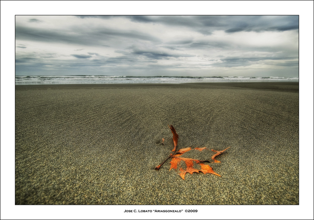 El otoño en la playa by Ariasgonzalo